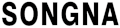 Songna Global